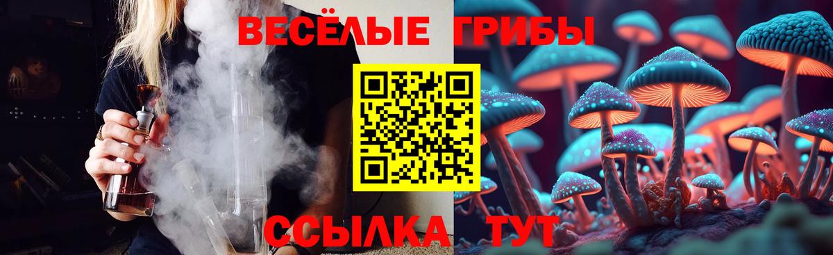 Галлюциногенные грибы GOLDEN TEACHER Находка