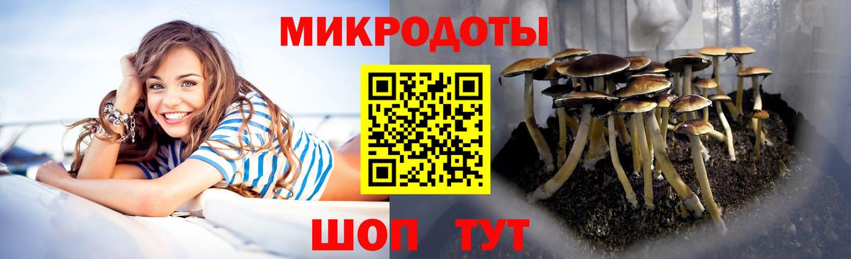 Галлюциногенные грибы Psilocybine cubensis  Вход с VPN  купить наркоту  Псилоцибиновые грибы Psilocybe  Находка 